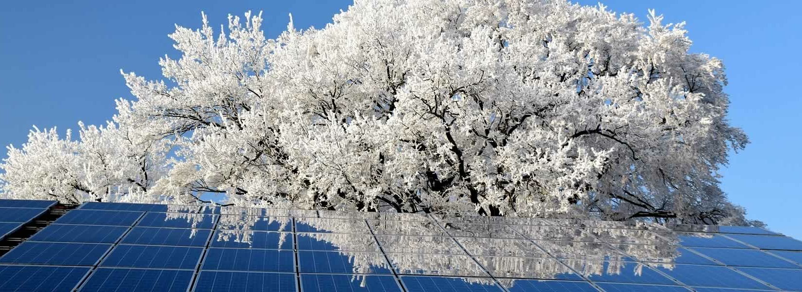 Pannelli solari fotovoltaici